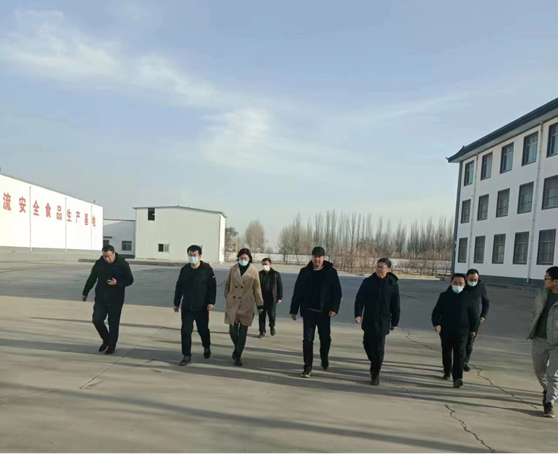 石嘴山市副市長、惠農(nóng)區(qū)委書記王宇翔蒞臨寧夏興康恒潤農(nóng)業(yè)科技發(fā)展有限公司調(diào)研
